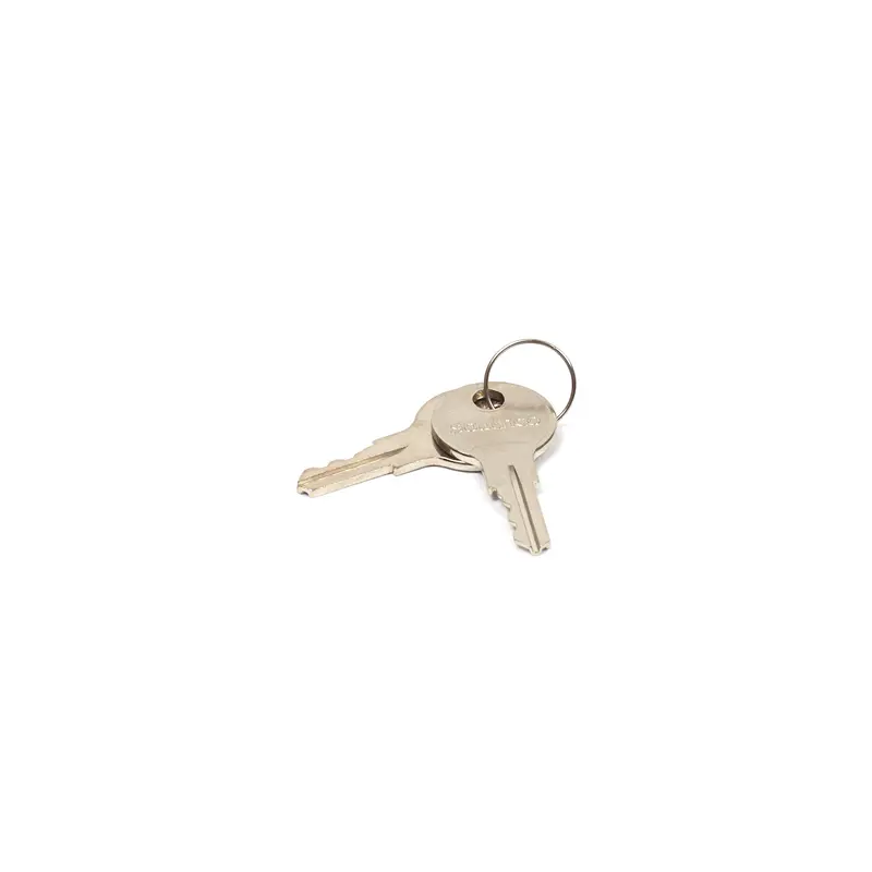 Briggs & Stratton 314290Gs Latch Key For Equipment Covers 1