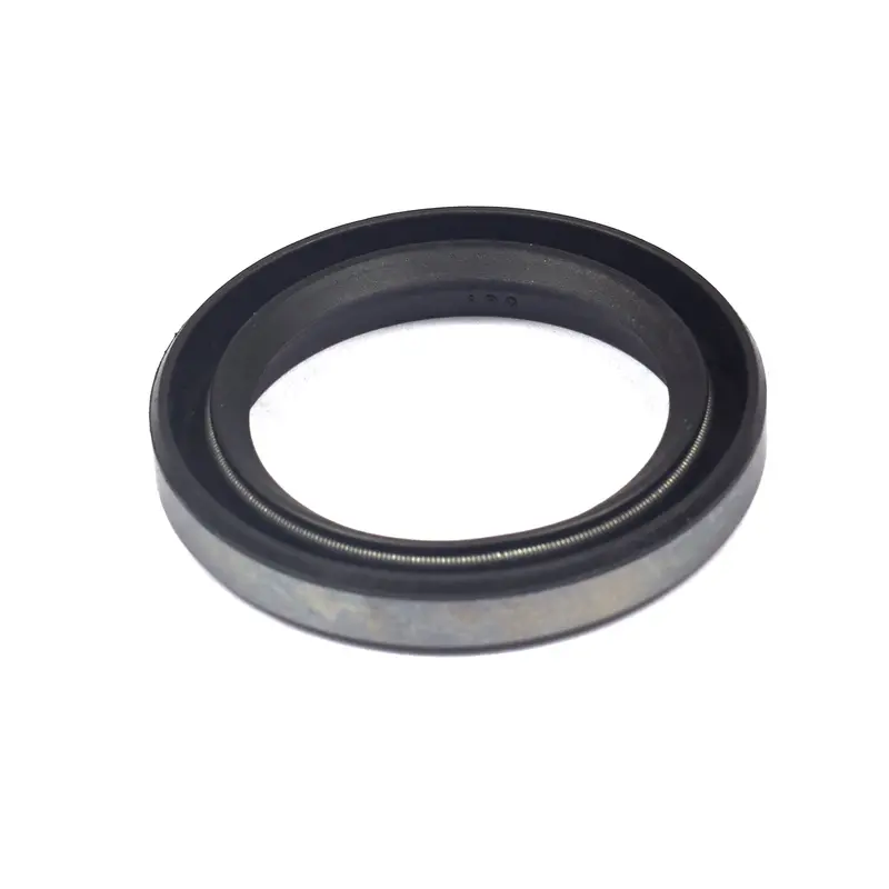 Briggs & Stratton 391086S Crankshaft Oil Seal 1