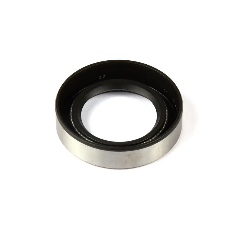 Briggs & Stratton 391485 Crankshaft Oil Seal 1
