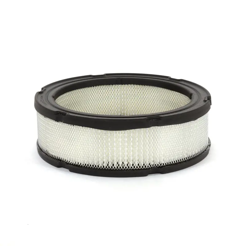 Briggs & Stratton 394018S Replacement Air Filter Element 1