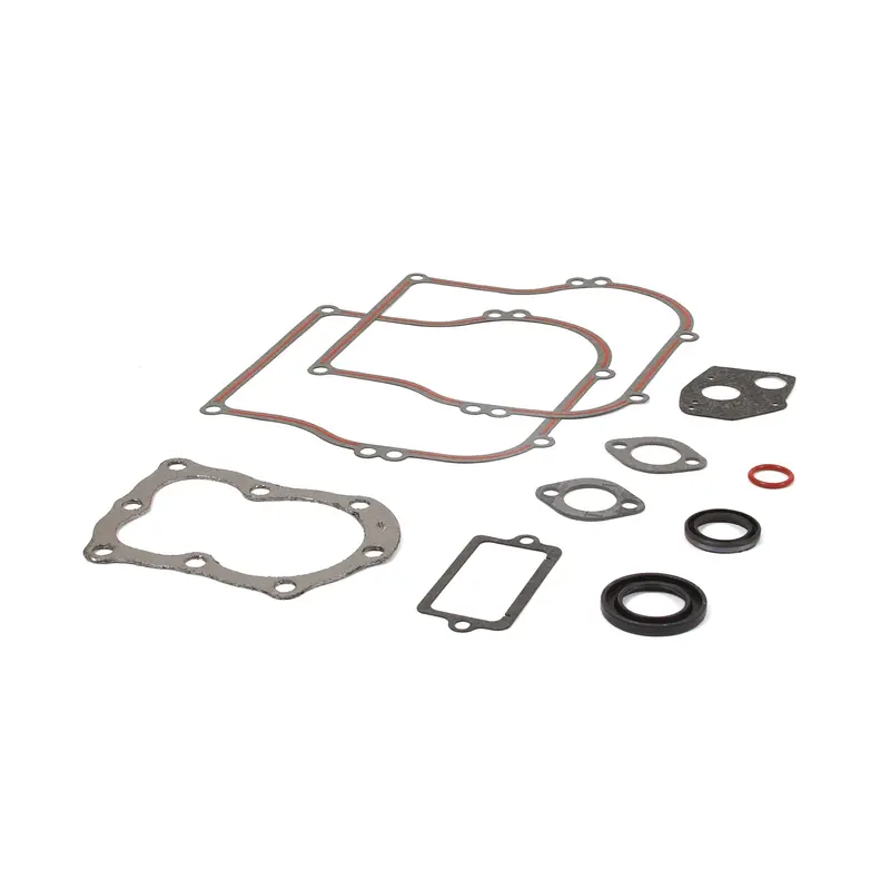 Briggs & Stratton 555210 Comprehensive Engine Gasket Kit 1