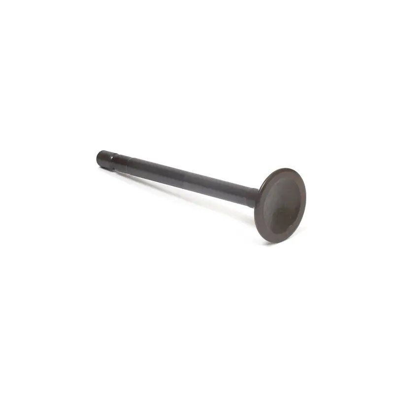 Briggs & Stratton 555552 Heavy-Duty Exhaust Valve 1