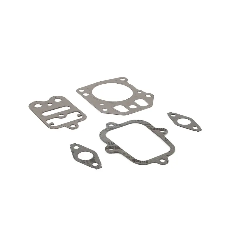 Briggs & Stratton 555581 Complete Valve Gasket Kit 1