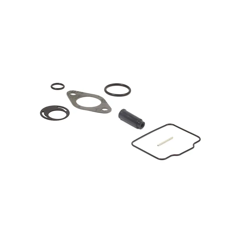 Briggs & Stratton 555605 Carburetor Rebuild Kit – Complete Overhaul Set 1