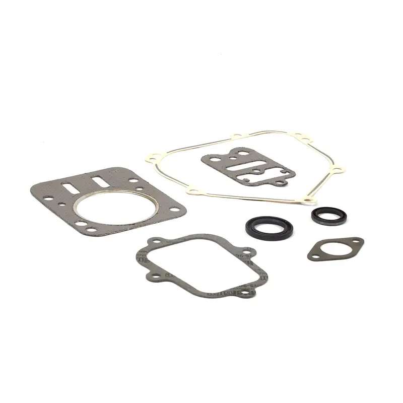 Briggs & Stratton 555631 Full Engine Gasket Replacement Kit 1