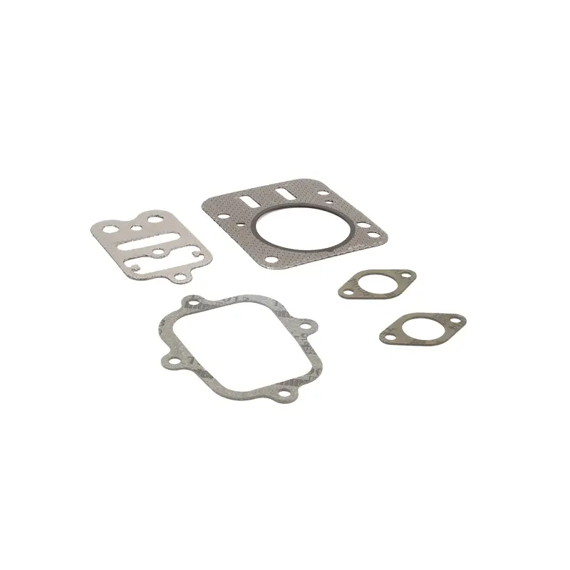 Briggs & Stratton 555636 Valve Cover And Head Gasket Set 1