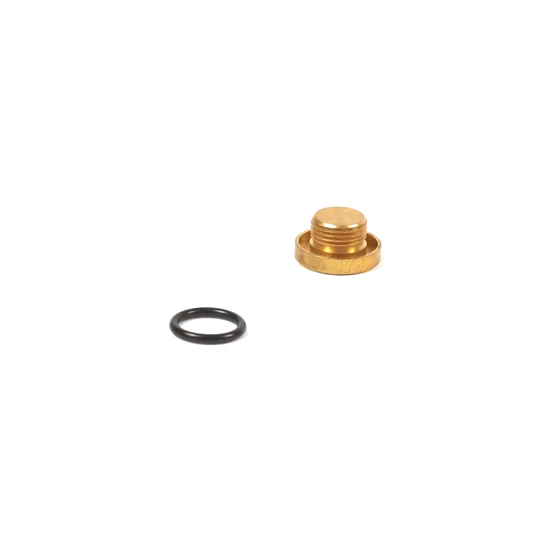 Briggs & Stratton 555659 Carburetor Bowl Drain Plug 1