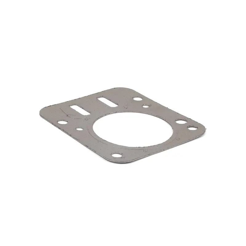 Briggs & Stratton 555723 Cylinder Head Gasket Kit 1
