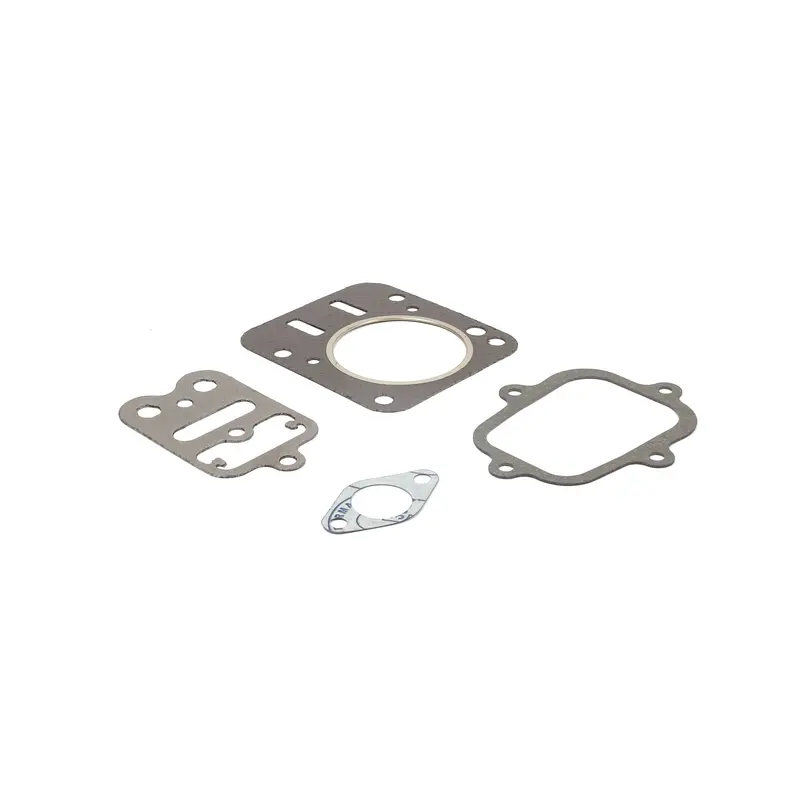 Briggs & Stratton 557027 Valve Cover Gasket Set 1
