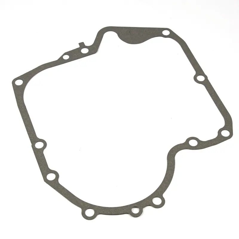 Briggs & Stratton 697110 Crankcase Seal Gasket (.015" Thick) 1