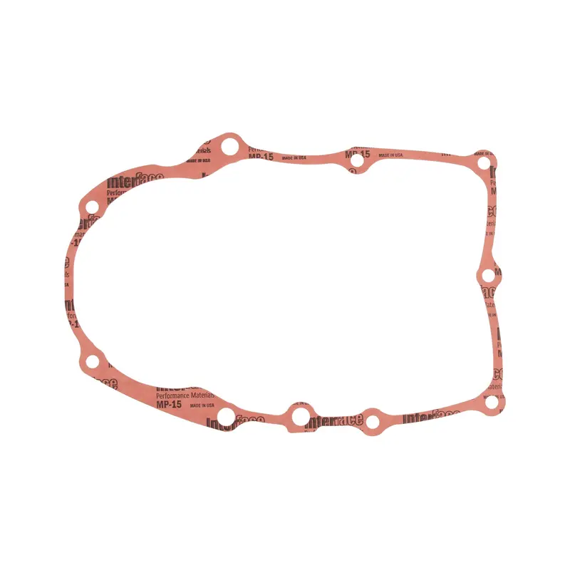 Briggs & Stratton 846487 Crankcase Seal Gasket 1