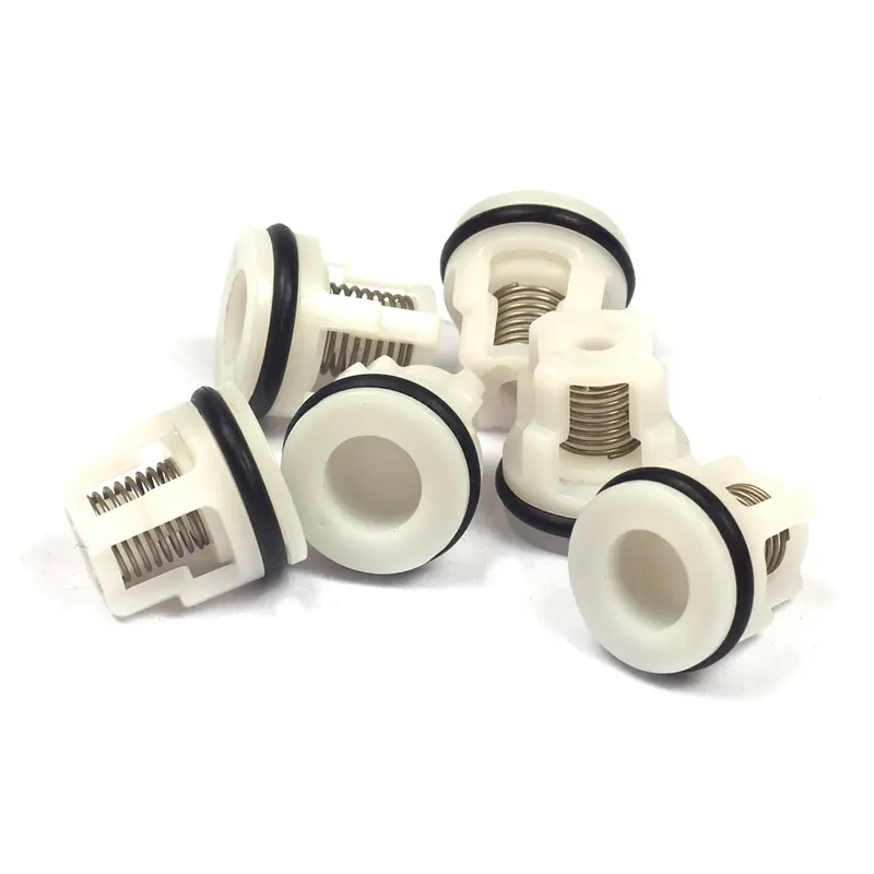 Briggs & Stratton Check Valve Repair Kit – #200344Gs 1