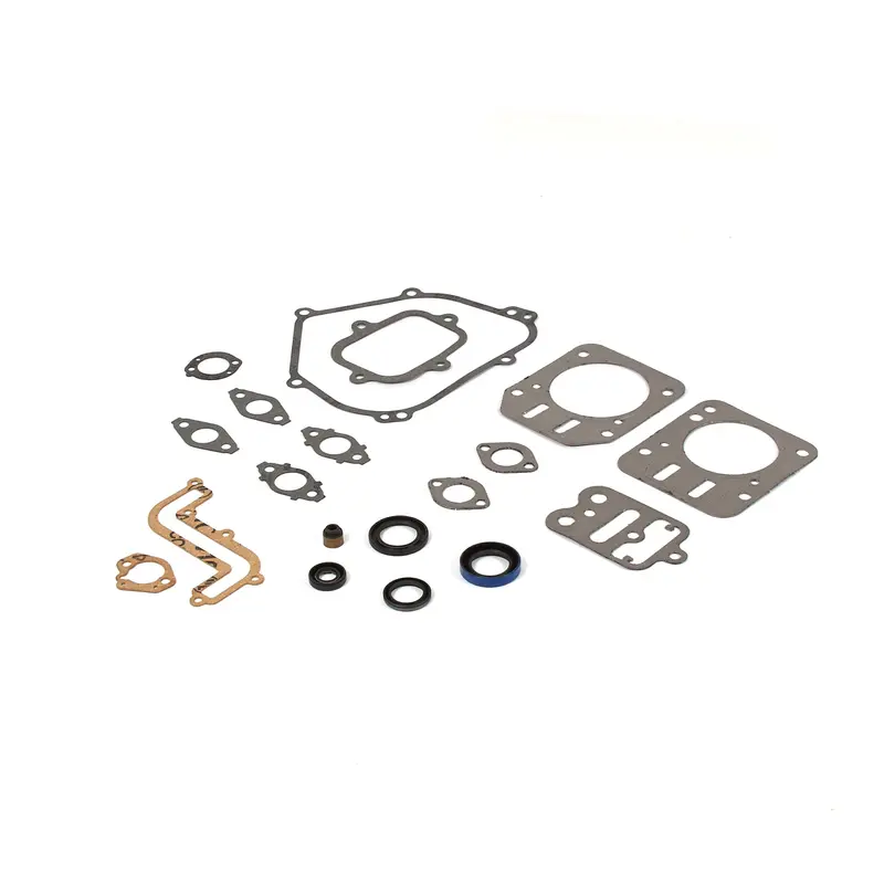 Briggs & Stratton Complete Engine Gasket Kit – Includes Head, Base & Carburetor Gaskets (791797) 1