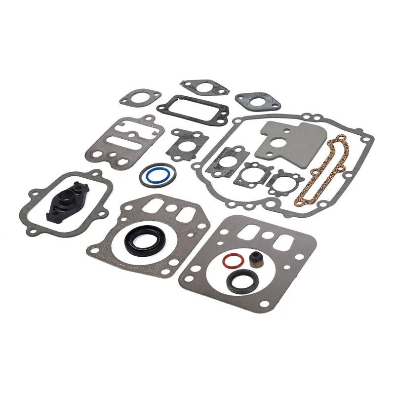 Briggs & Stratton Complete Engine Gasket Set #795442 1