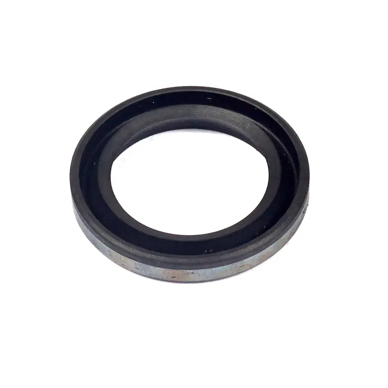 Briggs & Stratton Oil Seal – Crankshaft Or Shaft Seal 299819S 1