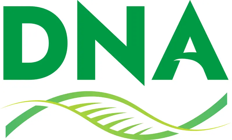Daye 2130200195 Right-Side Drive Axle Assembly 1